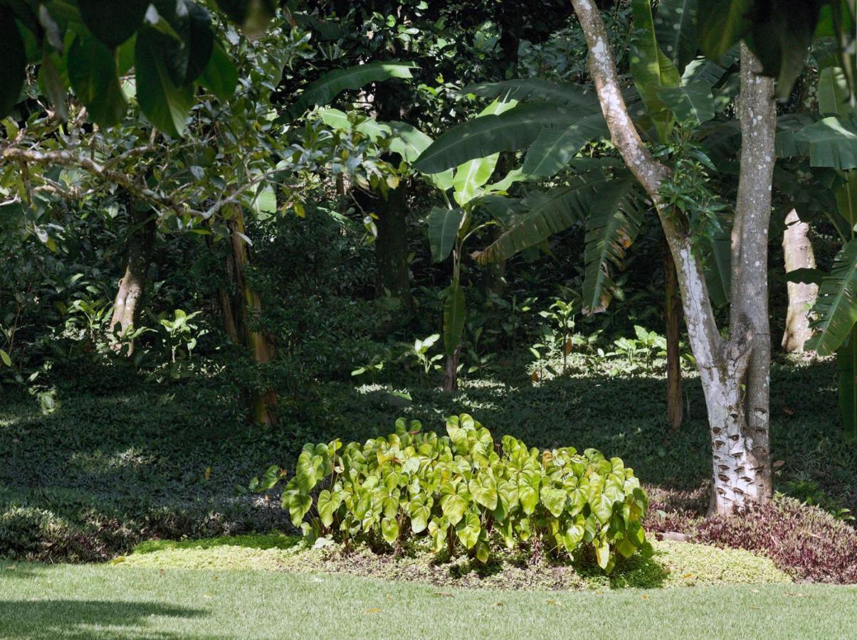 O Sitio - Ilha Grande Hotel Exterior photo